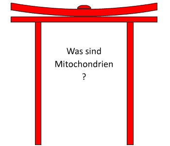 Was sind Mitochondrien